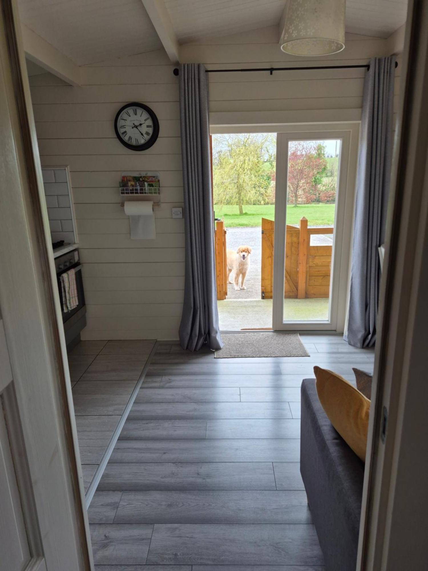 Nellies Cottage B&B Kilcogy Εξωτερικό φωτογραφία